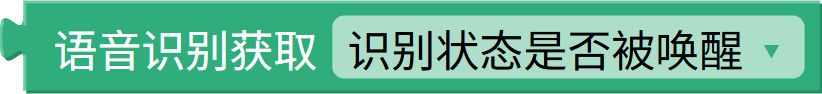 已识别指令