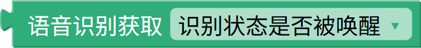 已识别指令