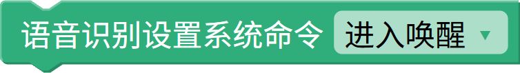 设置系统指令