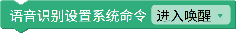 设置系统指令