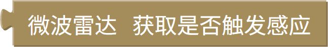 是否交互（SANT）