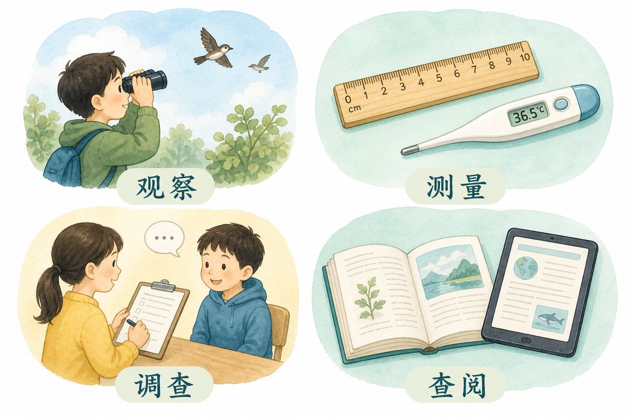 获取数据的常用方法